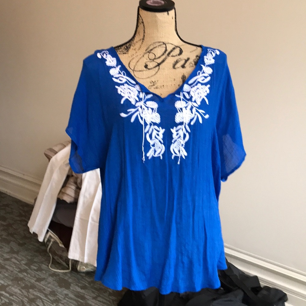 Beautiful blue light weight plus size top